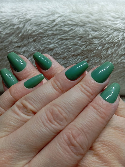 	Press-on nails faites main Reims - Sauge Élégante - Glowx Nails